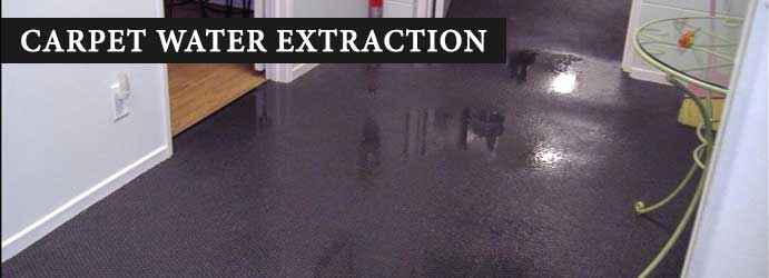 Carpet Water Extraction Elphinstone