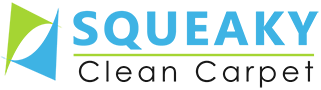 Squeaky Clean Carpet Logo