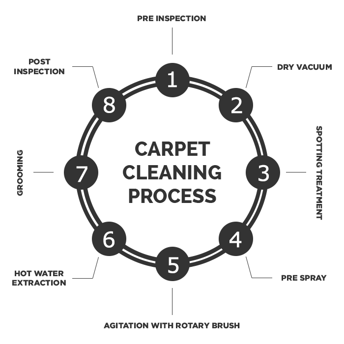 Carpet Cleaning Process Mafeking