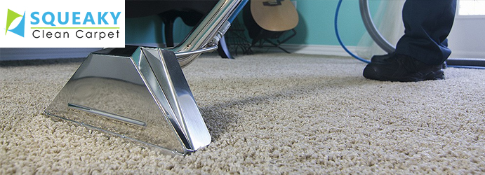 Professional Carpet Steam Cleaning Services