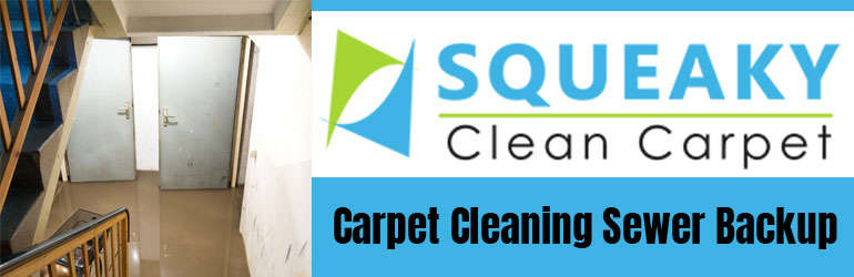 Carpet Cleaning Sewer Backup