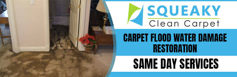 Carpet Cleaning Sewer Backup