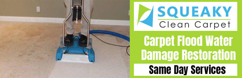 Carpet Flood Water Damage Restoration