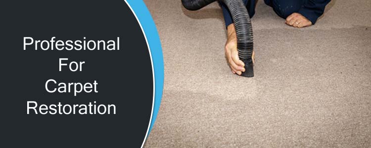 Professionals For Carpet Restoration